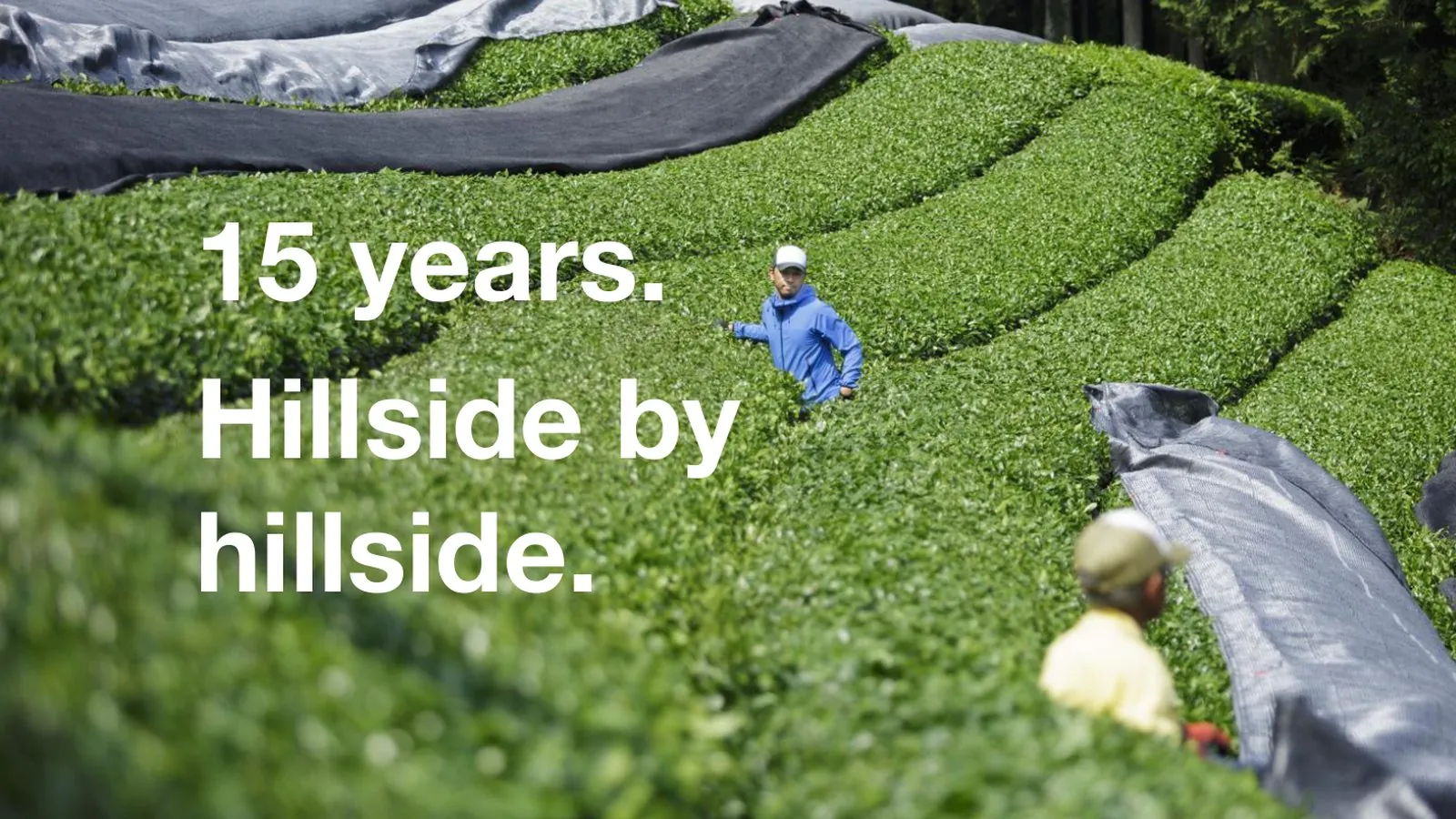 Presentation slide — 15 years, hillside by hillside